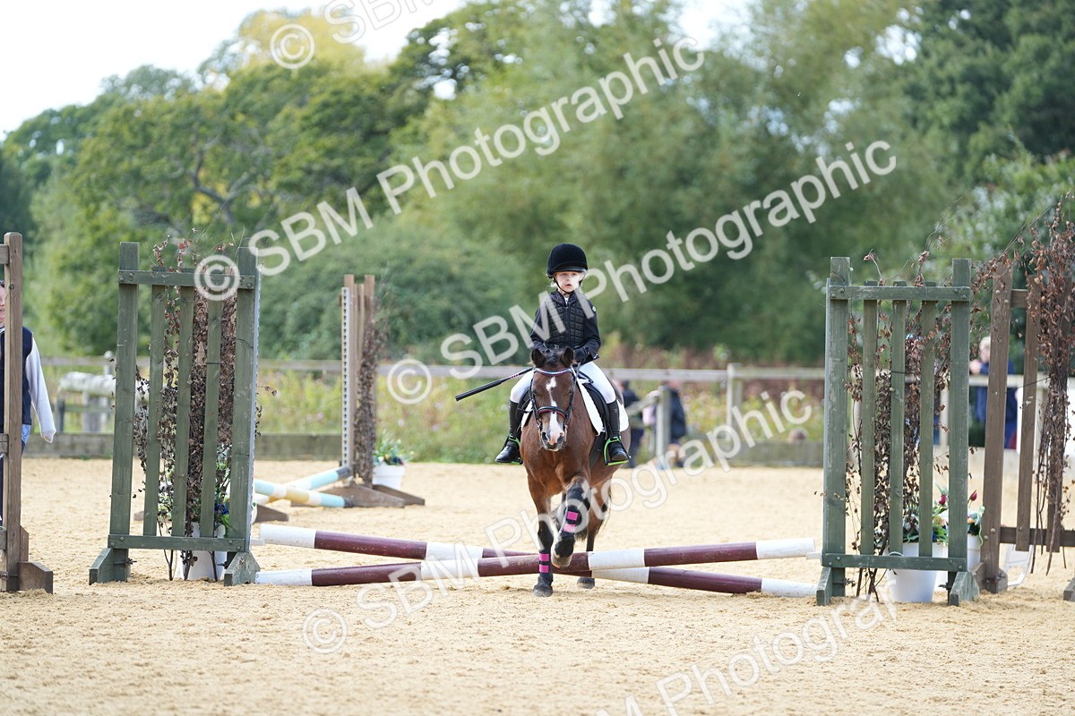 SBM_64440 - J2 - Mini Tour Junior Pony 30cm Championship