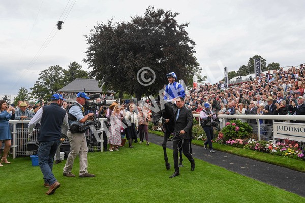 230823-Race 4-Mostahdaf-0364 - Race 4 3.35pm Juddmonte International Stakes