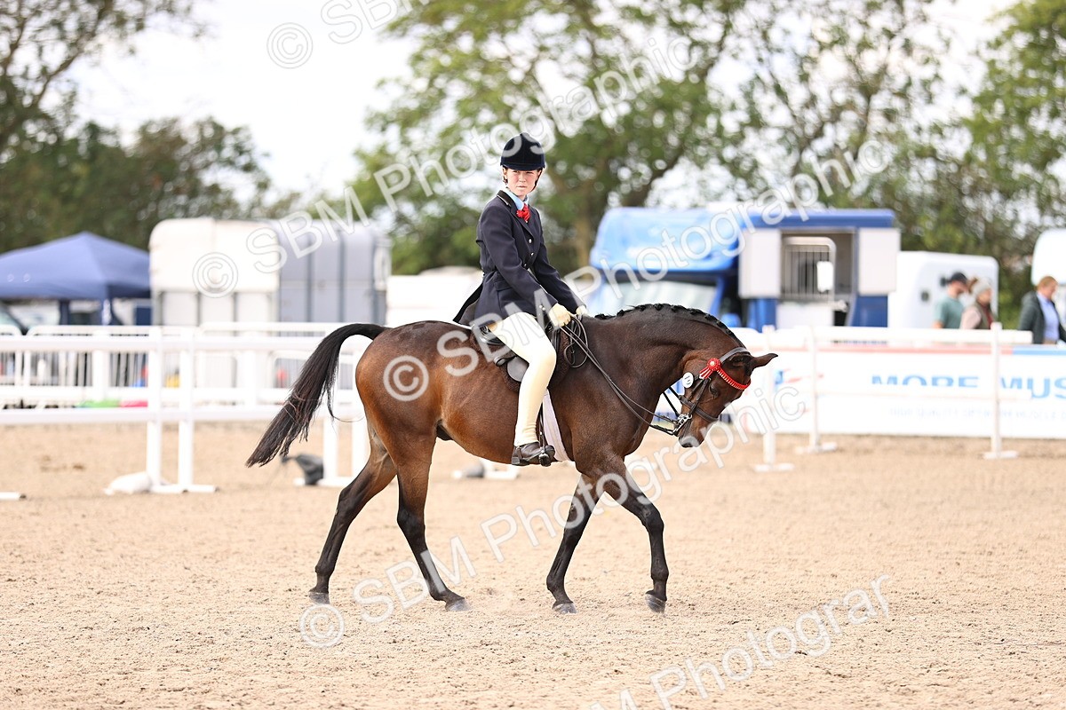 SBM_12821 - Class 409 - Grassroots Ridden - Pony