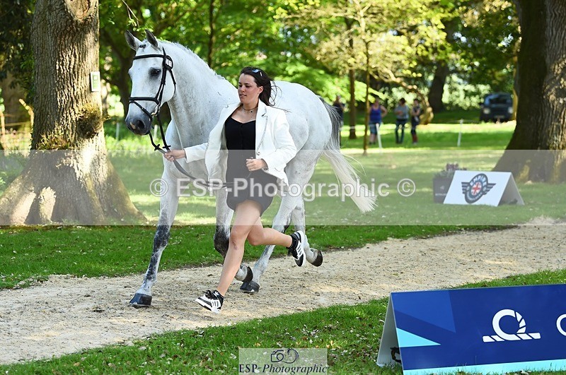 230524-161544-00801 - 261-COOLEY_NOW_OR_NEVER-Georgina_Herrling-WEDTrotUp+DR