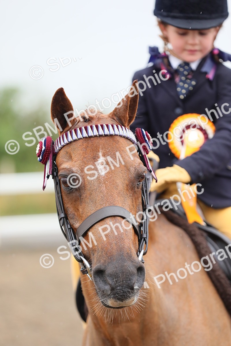 SBM_20641 - Class 804 - Ridden Veteran Pony