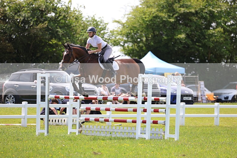 3E7A1363 - Class 12: Senior Foxhunter/1.20 open