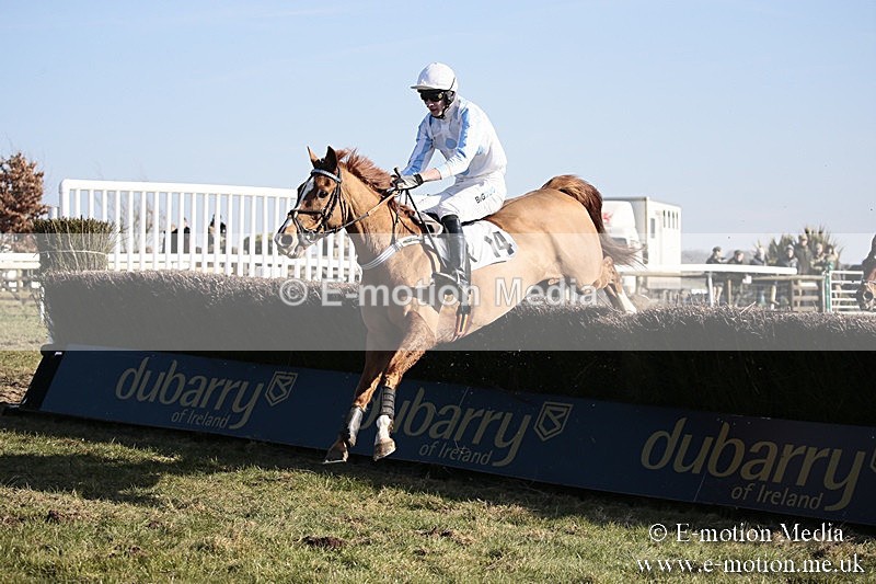 PtP 240218 397 - Vine & Craven Hunt Point-to-Point Barbury racecourse 24/02/18