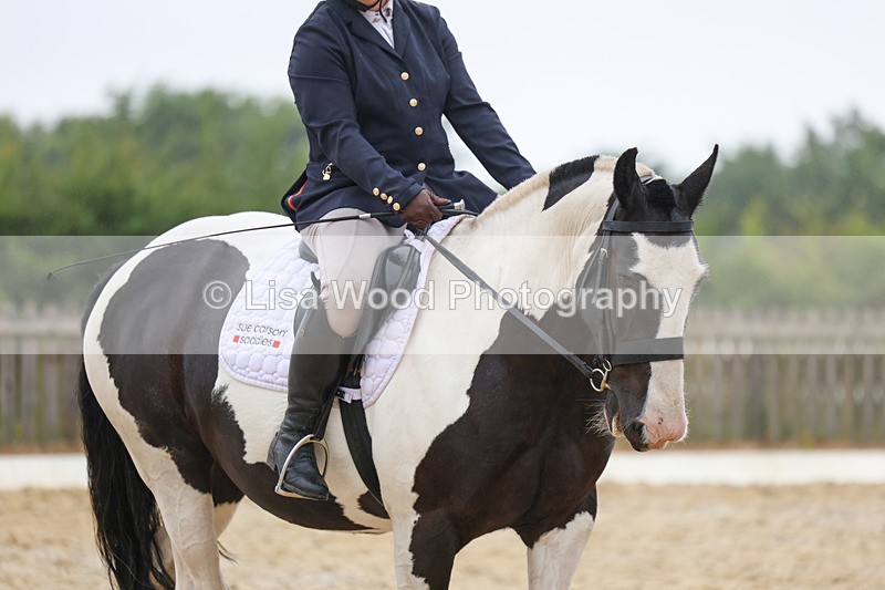 3E7A8322 - Class 2: Intro 3 2024 section B