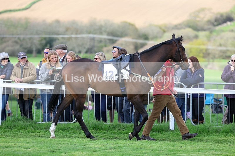 3E7A1217 - Race 6: Maiden (NWFAA)