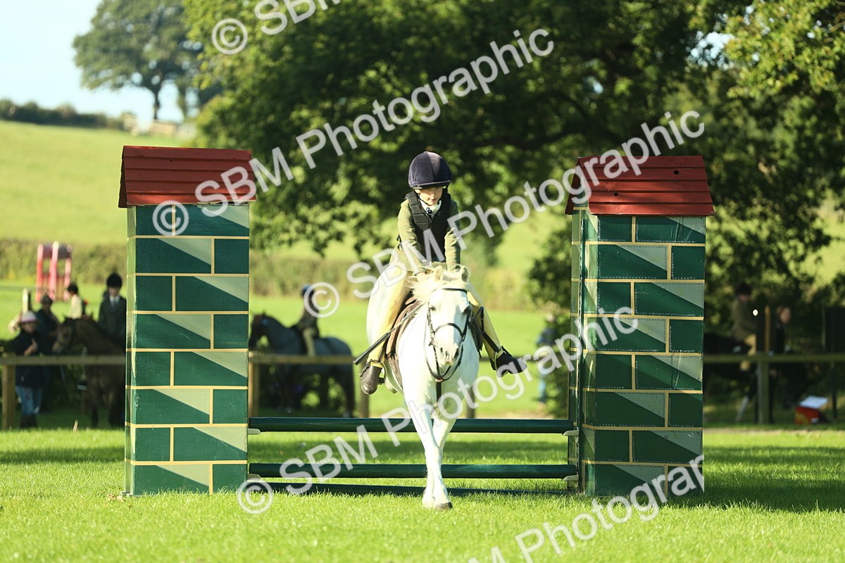 SBM_36391 - S29 - Novice & Newcomers Working Hunter Pony
