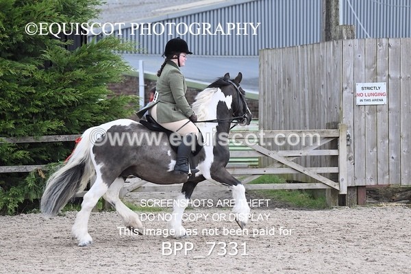 BPP_7331 - RING 1  (RIDDEN HORSES / IN HAND / VETERAN ETC)