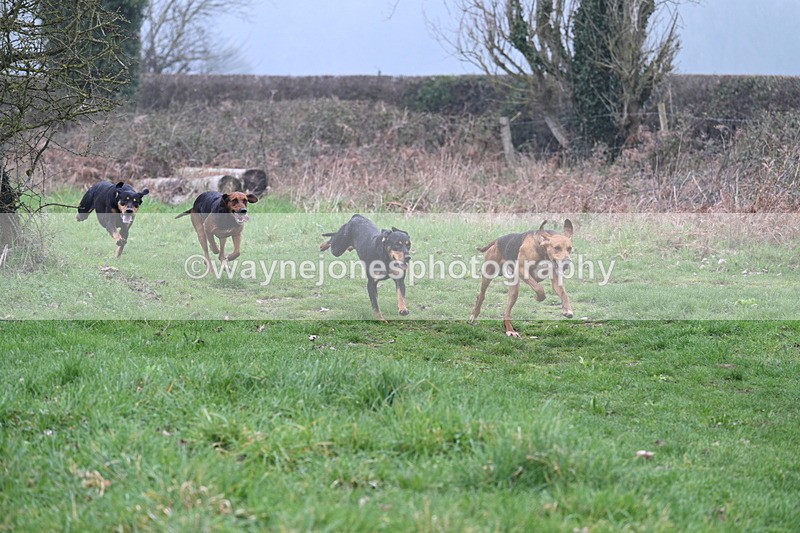 WJ7_0292 - Line 2 cam A