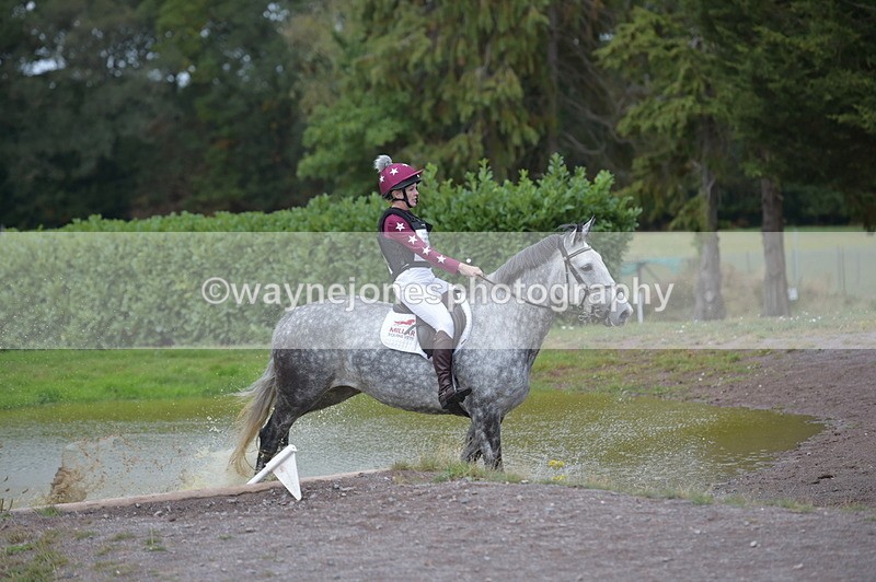 NGP_2430 - XC Time 11:37 to 11:57