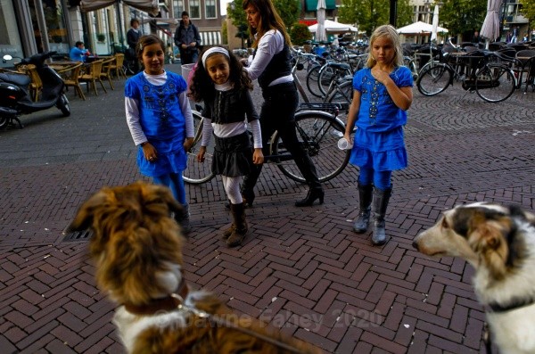  - Dordrecht - a closer look