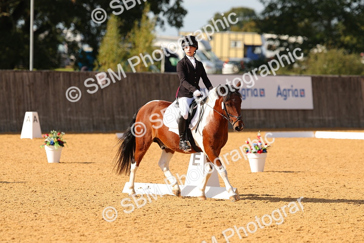 SBM_48427 - D6 - Small Tour Championship - Intro C