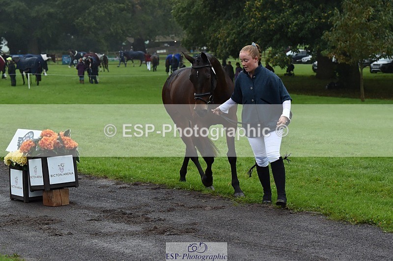 231018-120724-00090 - 009-FUTURE.GRAVITIE-Gini.Hope-TrotUp