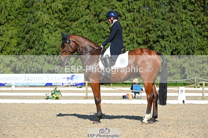 230526-173506-07653 - 264-BALLADEER_JUST_FOR_KICKS-Ellie_Healy-WEDTrotUp+DR