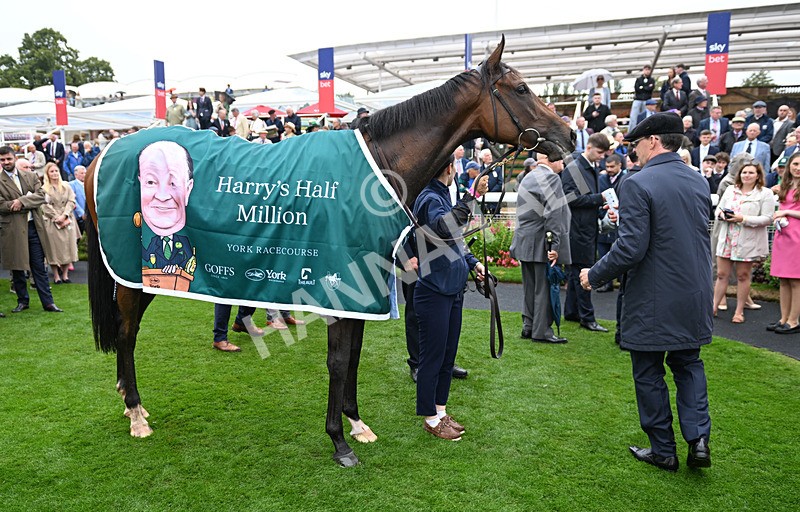 200826-051 Sun Goddess - Race 2 14.25pm Harry's Half Million By Goffs