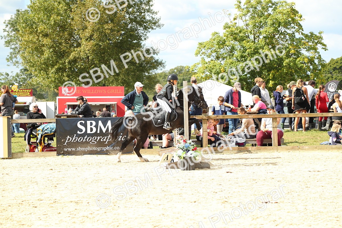 SBM_41310 - J6 - Junior Pony 55cm Championships