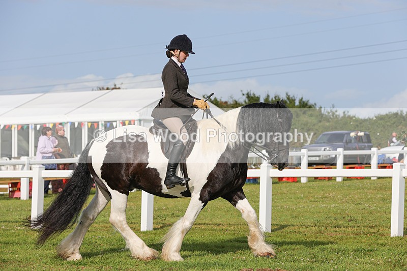 1X9A3115 - Class 27:  Ridden Native/Trad Coloured Horse