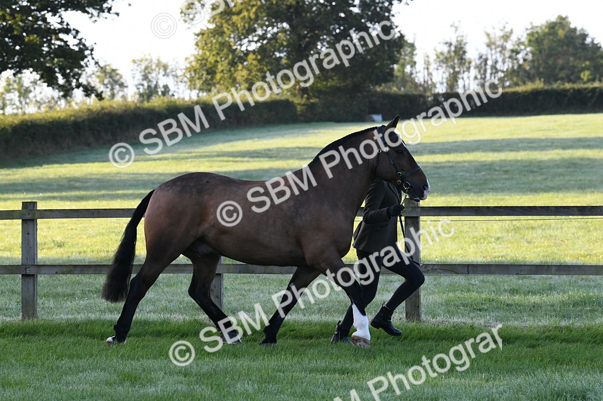 SBM_32542 - S15 - Condition & Turnout In Hand