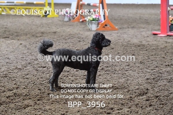 BPP_3956 - CLASS 11 80CM FINAL