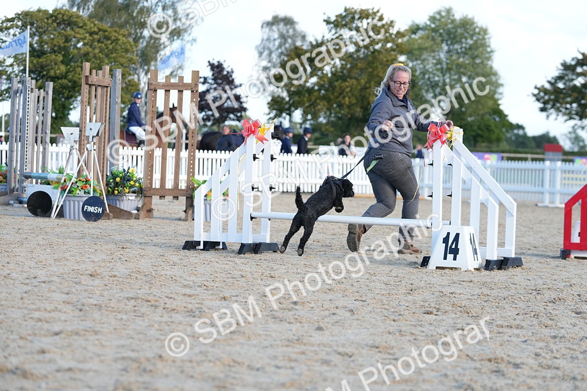 SBM_29013 - J43 - Horse & Hound Open 50cm