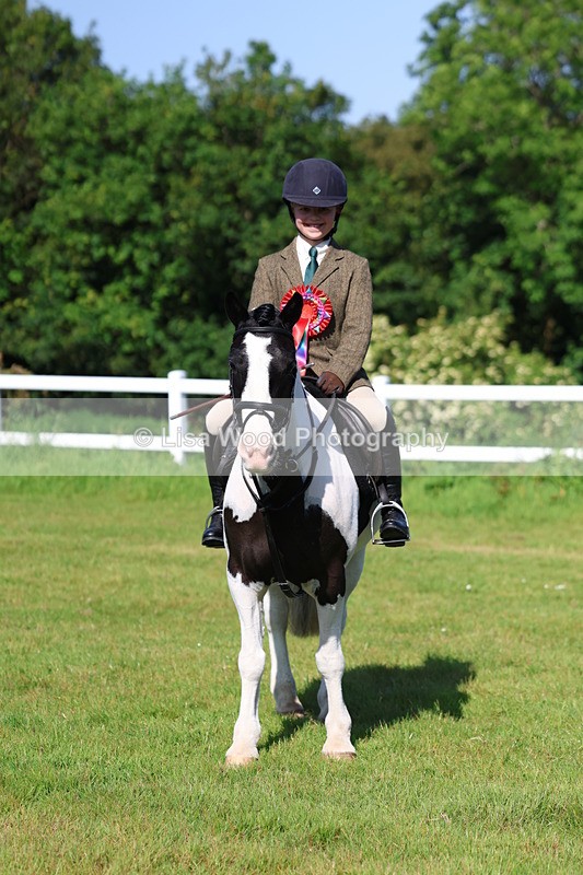 3E7A6040 - Class 27: Novice Working Hunter Pony