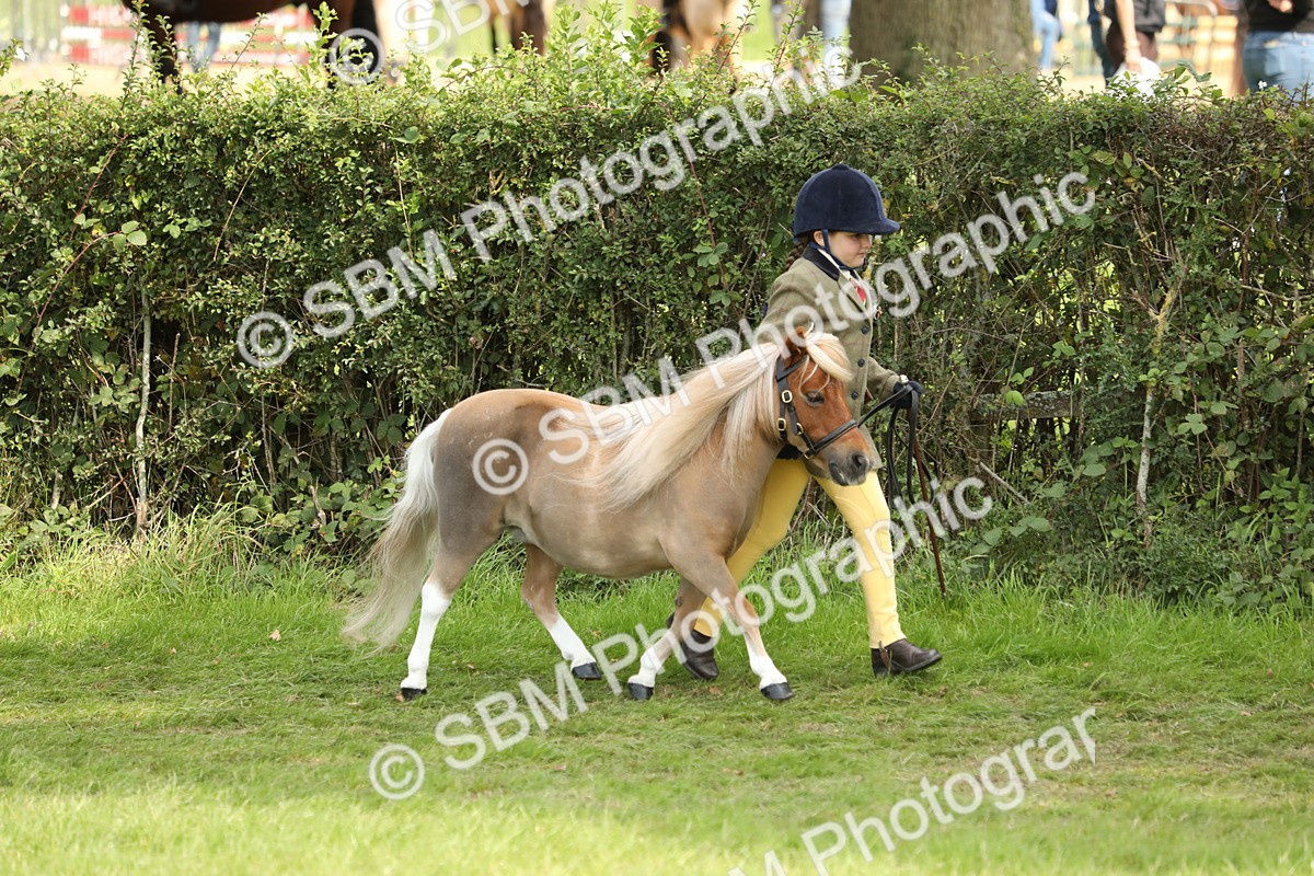 SBM_67730 - S39 - Junior Handler 8  Years & Under