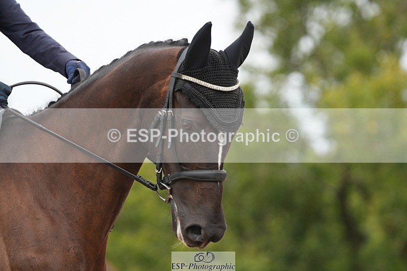 250907-114233-06142 - 094-Patricia.SmithJoost