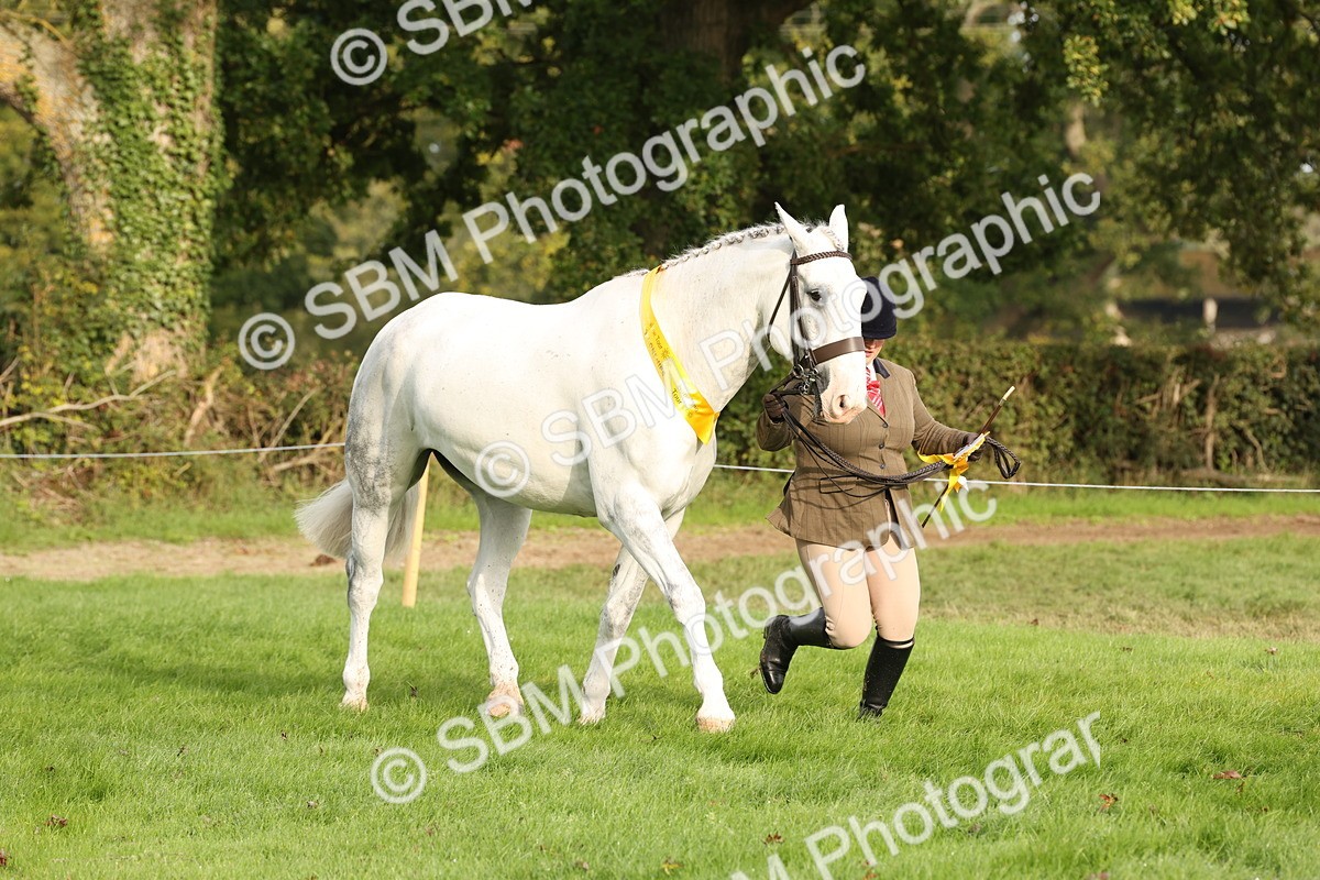 SBM_54722 - S53 - Hunter In Hand
