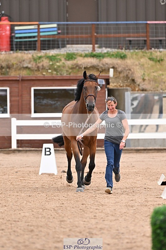 250716-154942-02201 - Trot Up 3.30 to 4.30