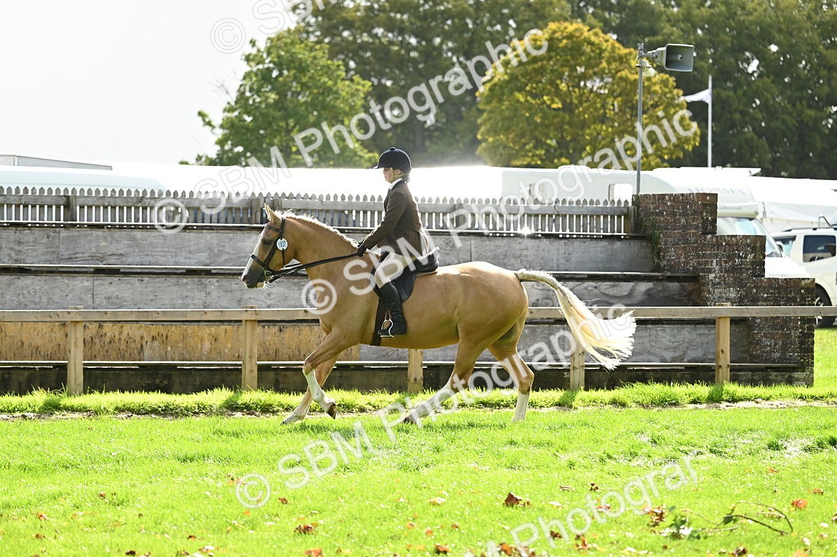SBM_01717 - S2 - TSR Ridden Horse Showing