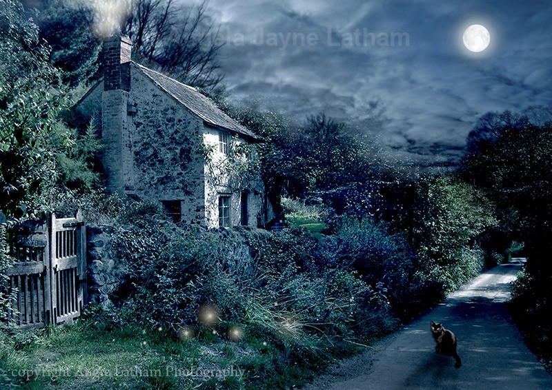 The Witches House - Mystery & Moonlight