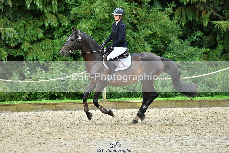 230715-094151-32305 - Cls 84 4 yr old Champ