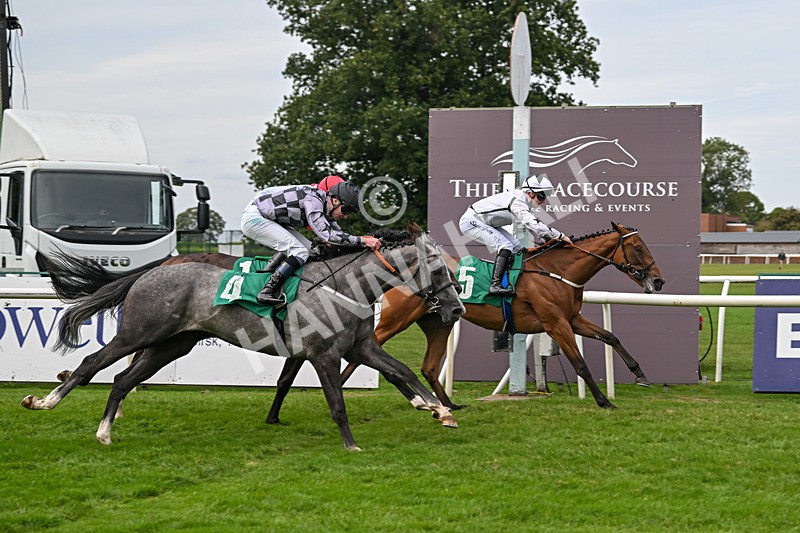 060925-Race 1-Dunkeld Dreamer-4191 - Race 1