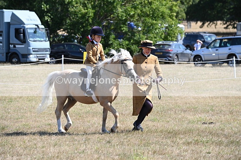 WJ6_7738 - Class 36 Lead Rein