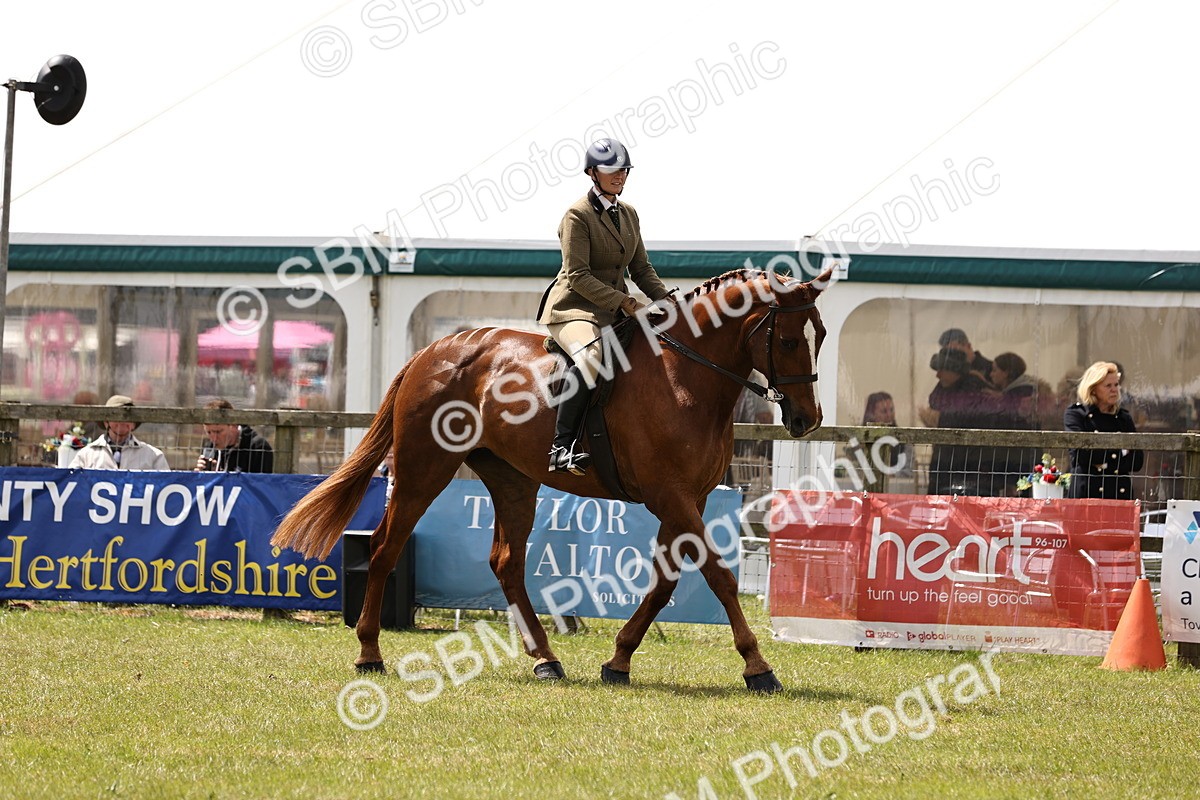 SBM_14723 - Class 88-89 - LIHS BSHA Rising Star of Ridden Hunter Type