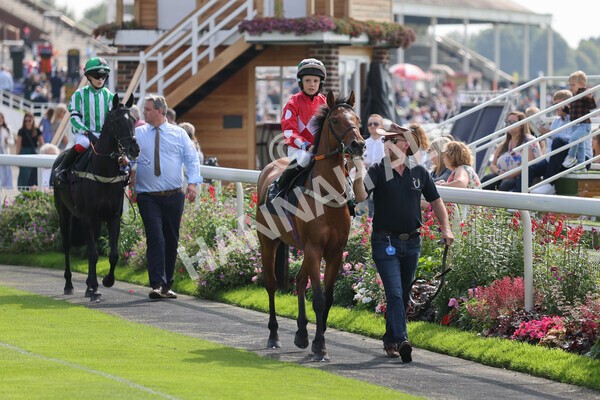 yr05092021rP-13 - Pony Races 138 and 148 cm