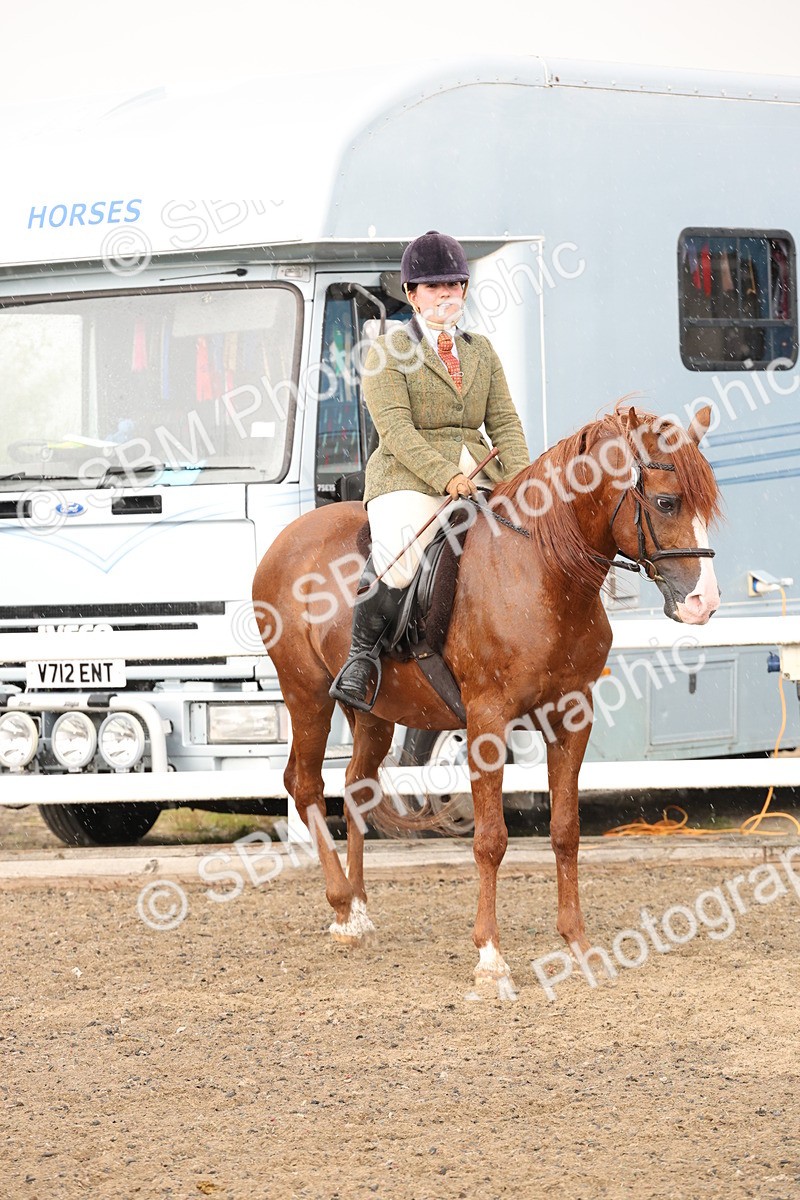 SBM_07595 - Class 59b -  Style & Performance - 80cm (20+)