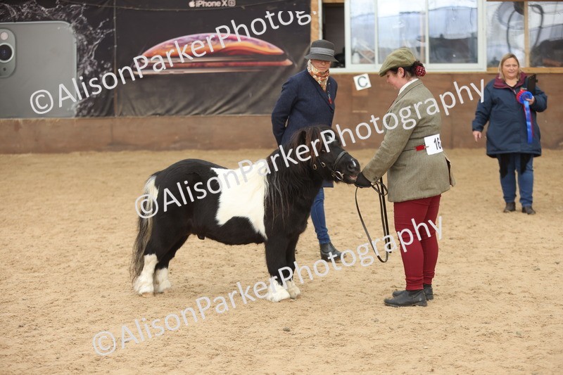 20251109-0392 - Class 15 - Coloureds