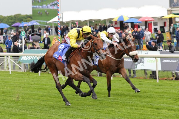 yr11052022r1-21 - Race 1 1.50pm Sky Bet Race to the Ebor Jorvik Stakes