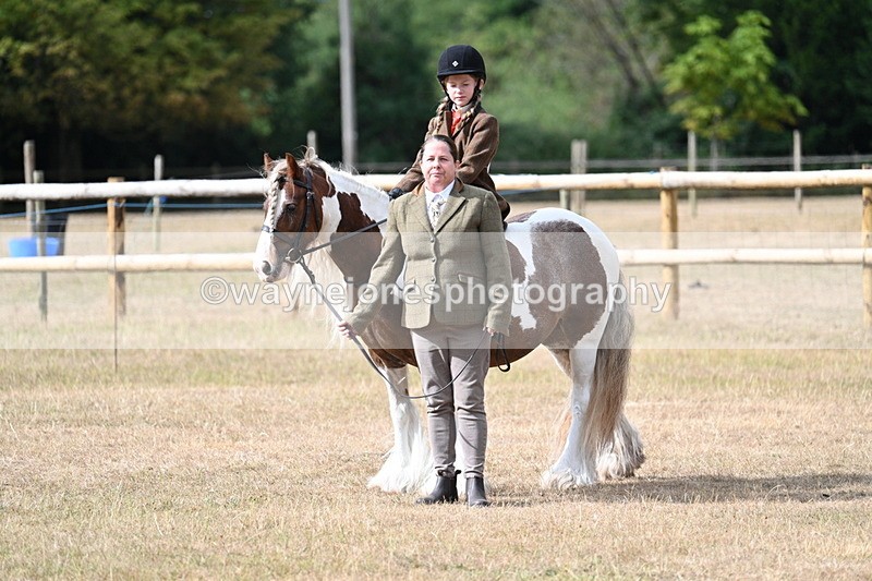WJ7_6502 - Class 1 Lead Rein Pony