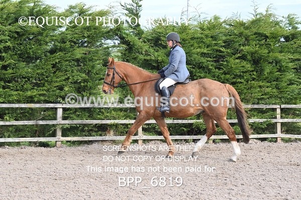 BPP_6819 - RING 1  (RIDDEN HORSES / IN HAND / VETERAN ETC)