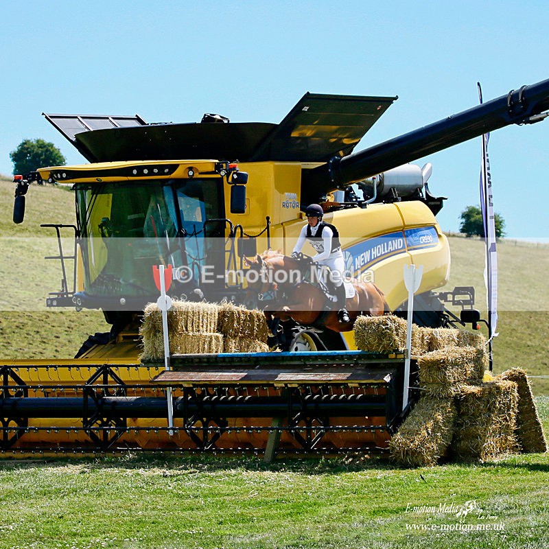 BarSJ4  100722 541a - Equestrian