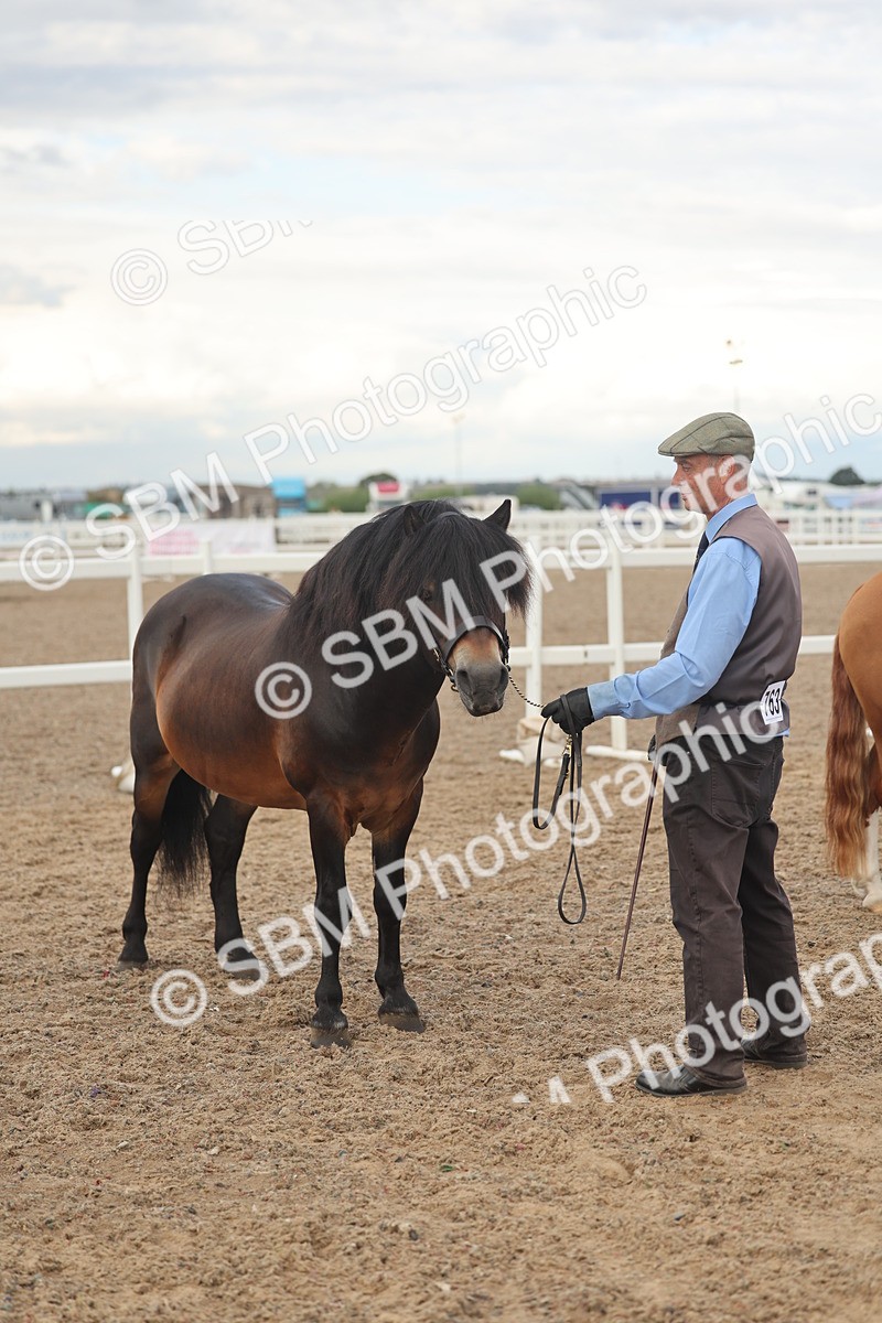 SBM_08540 - Class 29 - IH Veteran Pony