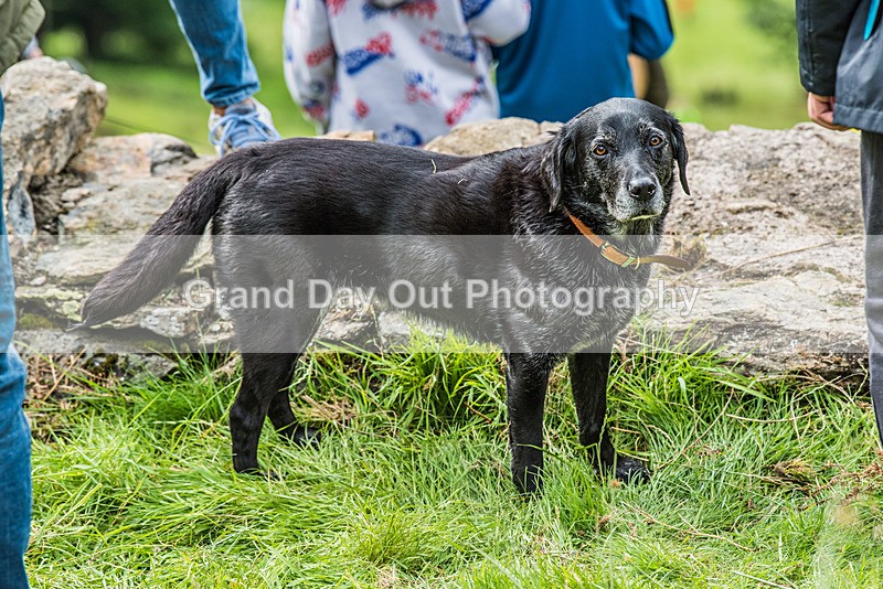 Grasmere-330 - Grasmere Sports Junior & Senior Fell Races Sunday 27th August 2023