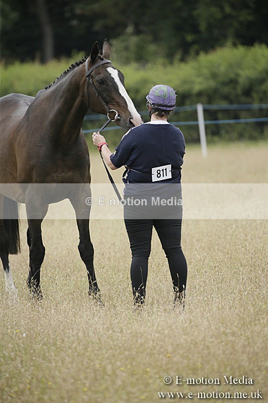 B230619-0296 - Bourne Valley Riding Club Summer Show 23/06/19
