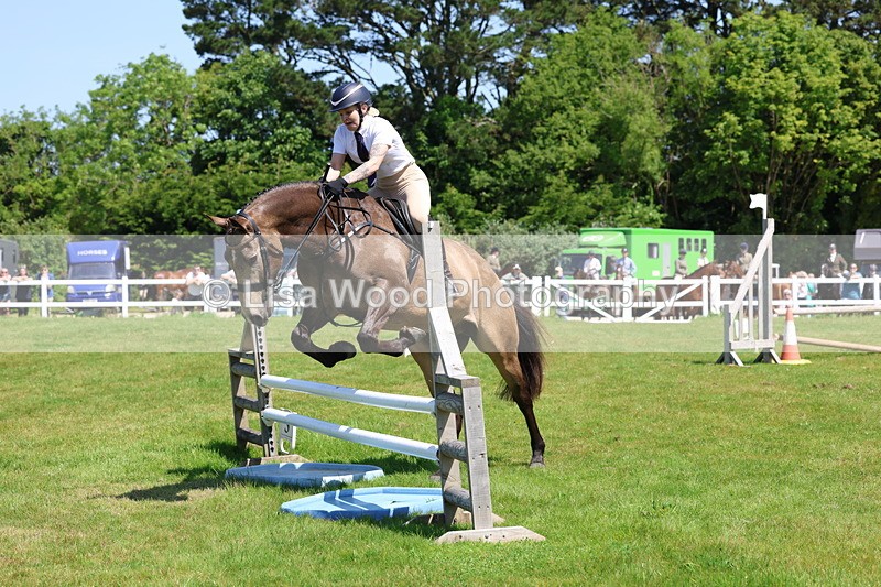3E7A6932 - Class 30: Novice Working Hunter