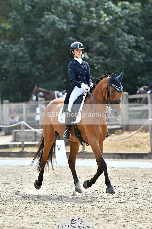 260802A-153038-07435 - Intermediate Bronze