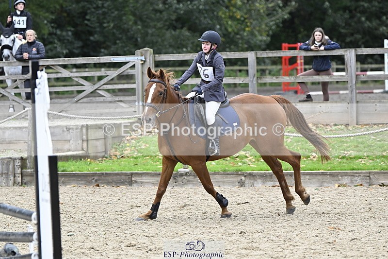 251005A-130144-04010 - Cls 08 Mini 70-75cm