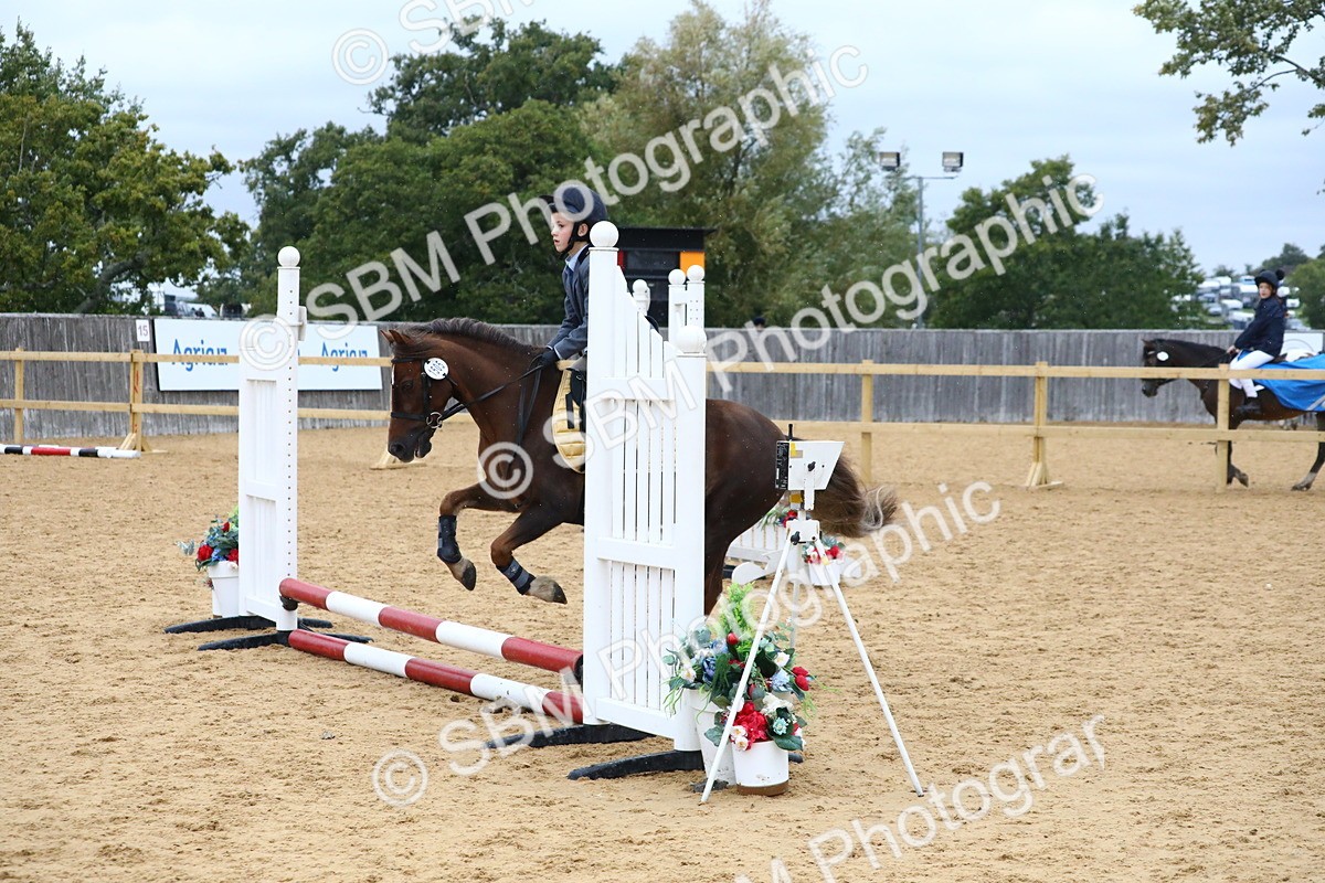 SBM_68417 - J3b - Mini Tour Junior Pony 40cm Championship