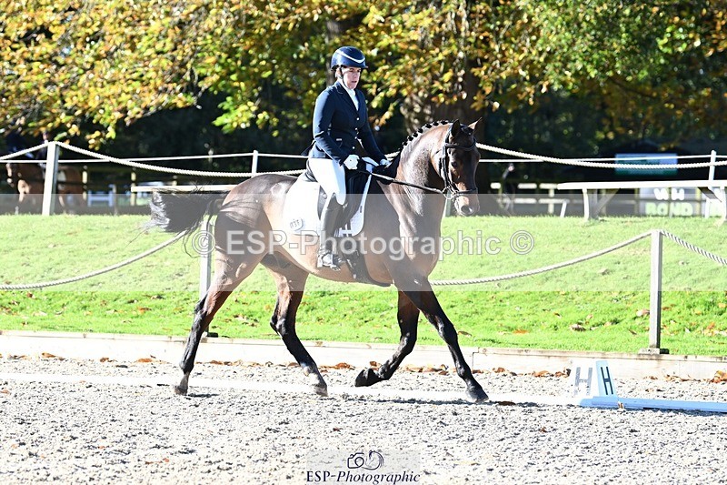 231110-105219-00228 - Cls 2 Prelim 17(a)Q