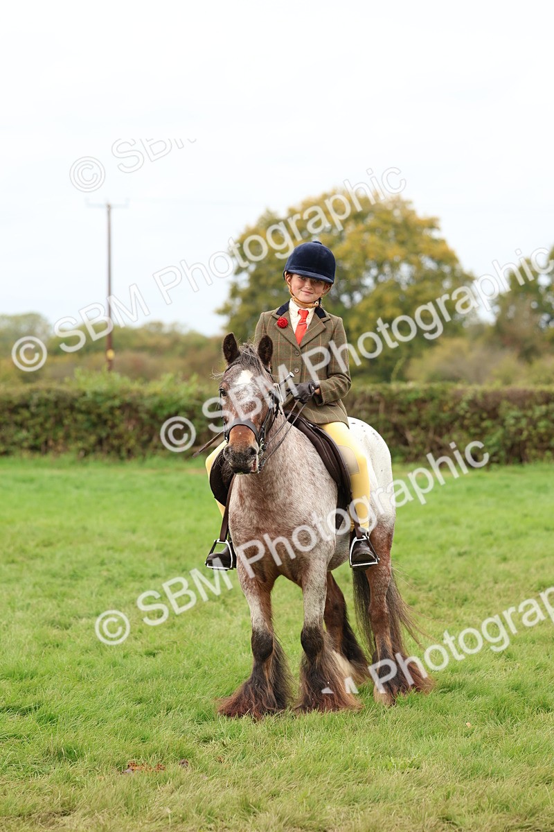 SBM_64472 - S58 - Coloured Pony Ridden